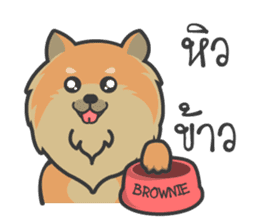 Pomeranian Brownie & friends sticker #11808419