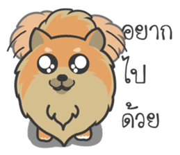 Pomeranian Brownie & friends sticker #11808420