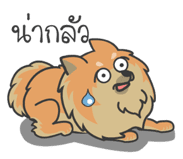 Pomeranian Brownie & friends sticker #11808428