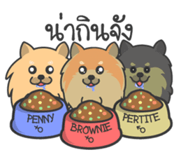 Pomeranian Brownie & friends sticker #11808429