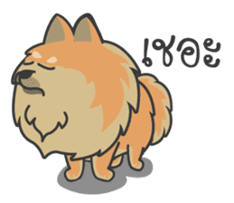 Pomeranian Brownie & friends sticker #11808431