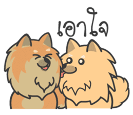 Pomeranian Brownie & friends sticker #11808433