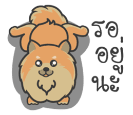 Pomeranian Brownie & friends sticker #11808437