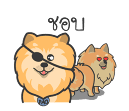 Pomeranian Brownie & friends sticker #11808442