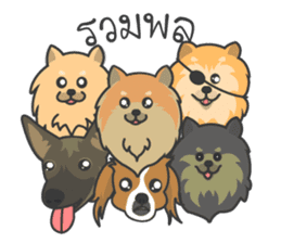 Pomeranian Brownie & friends sticker #11808449