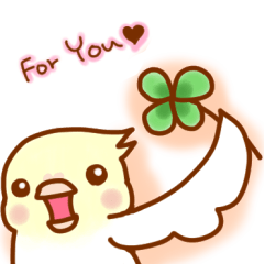 Cheeks round parakeet