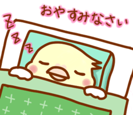 Cheeks round parakeet sticker #11808625