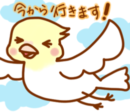 Cheeks round parakeet sticker #11808626