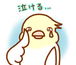 Cheeks round parakeet sticker #11808631