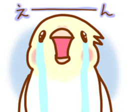 Cheeks round parakeet sticker #11808632