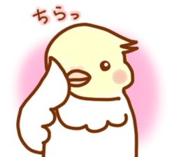 Cheeks round parakeet sticker #11808634