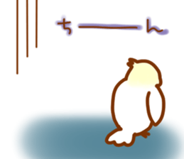 Cheeks round parakeet sticker #11808647