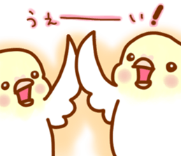 Cheeks round parakeet sticker #11808651