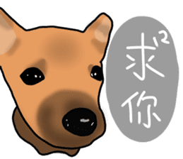 So cute dog (Mix) sticker #11808778