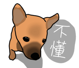 So cute dog (Mix) sticker #11808786