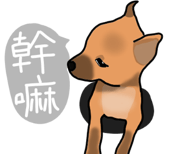 So cute dog (Mix) sticker #11808793