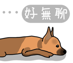 So cute dog (Mix) sticker #11808796
