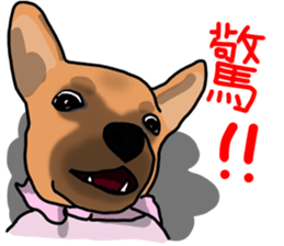 So cute dog (Mix) sticker #11808804