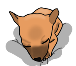 So cute dog (Mix) sticker #11808812