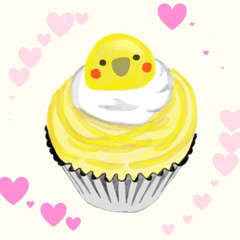 Nymphicus hollandius's sweets