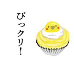 Nymphicus hollandius's sweets sticker #11810229