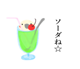 Nymphicus hollandius's sweets sticker #11810249