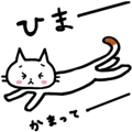 "MAYUNEKO" The cats with eyebrows!2