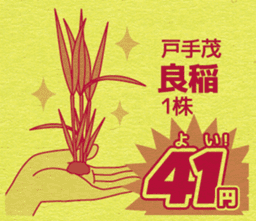 Today's bargain - one color flyer - sticker #11813122