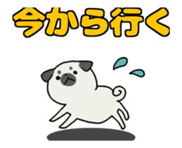 Pug Animated Stickers sticker #11814443