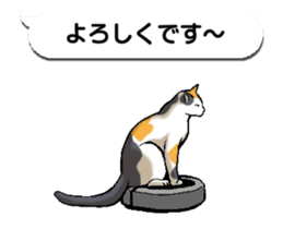 Animated Sticker!!Cats love balloon sticker #11814534