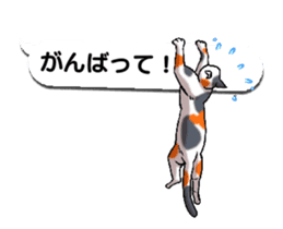 Animated Sticker!!Cats love balloon sticker #11814538