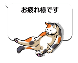 Animated Sticker!!Cats love balloon sticker #11814539