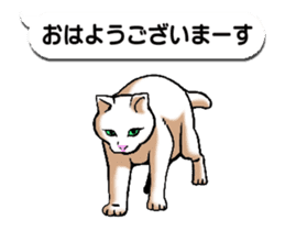 Animated Sticker!!Cats love balloon sticker #11814541