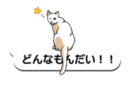 Animated Sticker!!Cats love balloon sticker #11814551