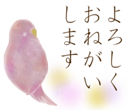 N A R I M O N sticker #11815997