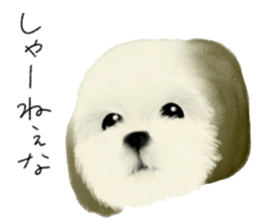 N A R I M O N sticker #11816006