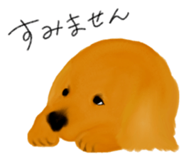 N A R I M O N sticker #11816012