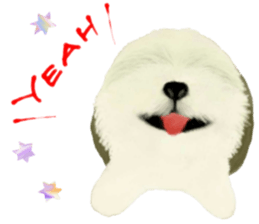 N A R I M O N sticker #11816023