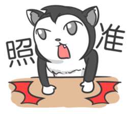 DumpCat Run Run Run sticker #11816272