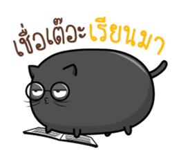 Cats or Sausage sticker #11816503