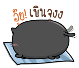 Cats or Sausage sticker #11816516