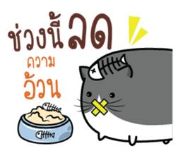 Cats or Sausage sticker #11816523