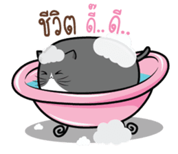 Cats or Sausage sticker #11816524