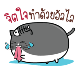 Cats or Sausage sticker #11816533