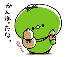 kappacco2 sticker #11817755