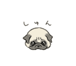 Pug with warm mood sticker #11818783