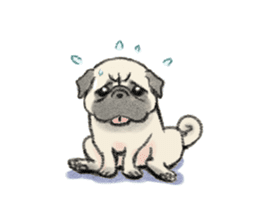 Pug with warm mood sticker #11818792