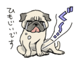 Pug with warm mood sticker #11818808