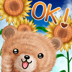 nuikuma shoka-summer