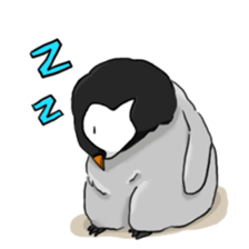 Fluffy Baby Penguins sticker #11820884